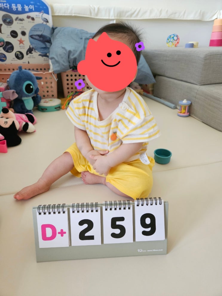  [육아일기] 낯가림 극복한 37주차