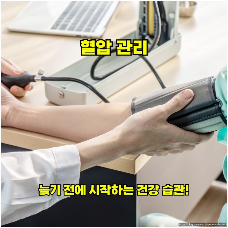  혈압 관리, 늦기 전에 시작하는 건강 습관!