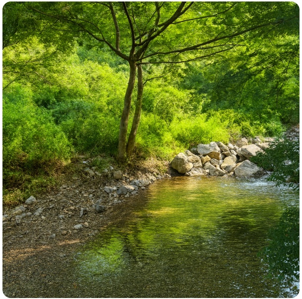  천안 광덕산 계곡에서 시원하게, 광덕사에서 여유롭게 – 역사와 자연이 함께하는 천안 여름 여행