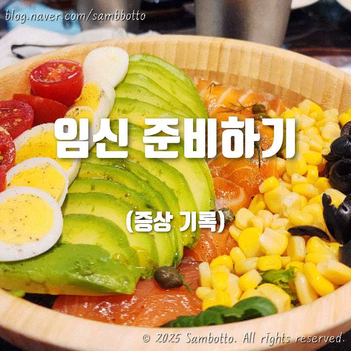  증상놀이, 임신준비 일상의 기록. 저만 이러는거 아니죠?ㅠㅠ