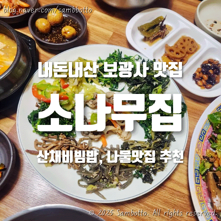  [내돈내산] 파주 나물 맛집 추천 '소나무집', 광탄 마장호수 인근 보광사 맛집