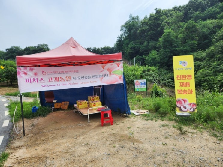 2025년 택배 주문배송 종료일 안내의 건 [세종 조치원 복숭아 과수원-고개 농원]