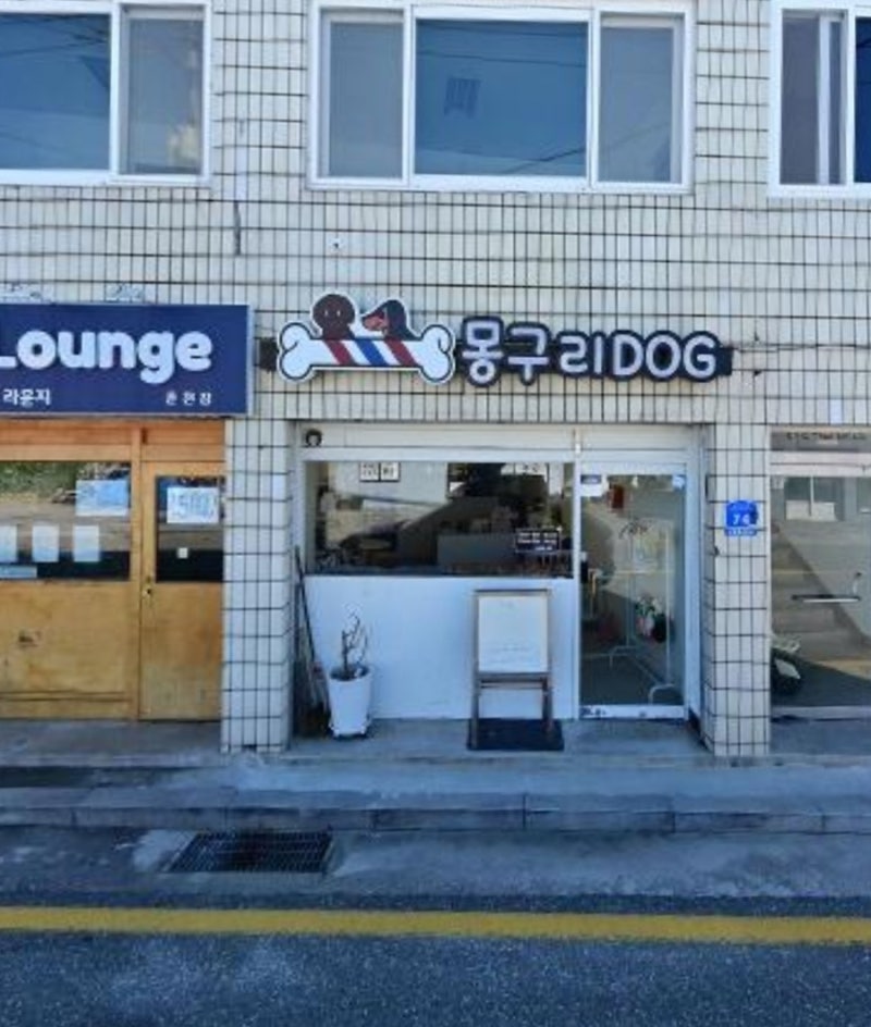 사진 2