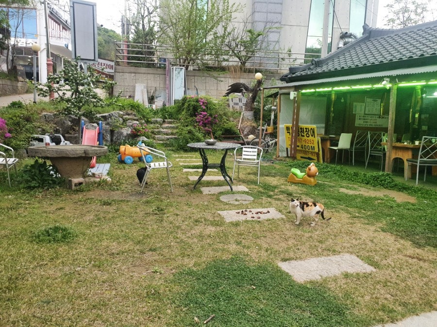 백세풍천장어 사진 3