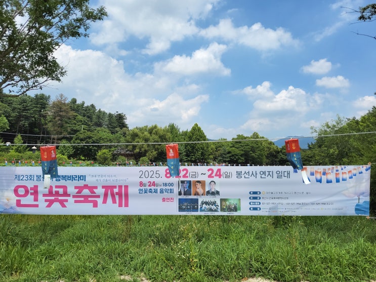  [경기 남양주] 봉선사 - 올해 연꽃 축제는 8말월로 연기되었다.