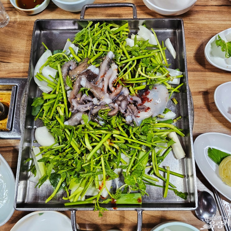  성남 철판 낙지볶음 손맛 좋은 모란역 노포 낙지고을