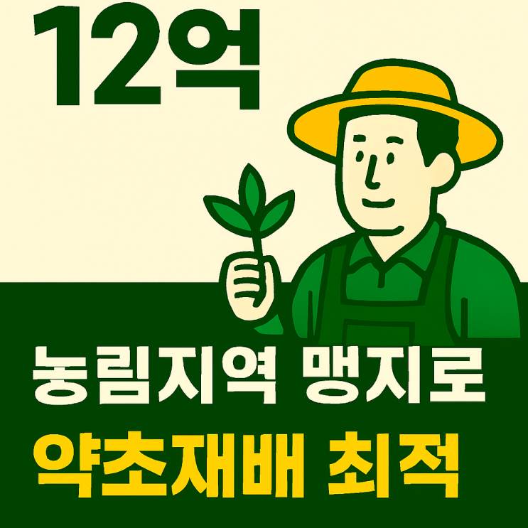  원주 소초면 흥양리 임야 5만, 공시지가 8110원/ 투자 기회