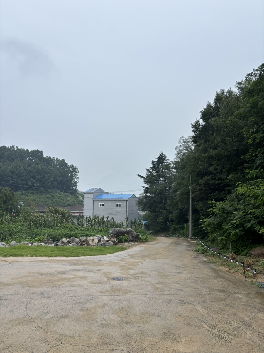 스테이상아 사진 2