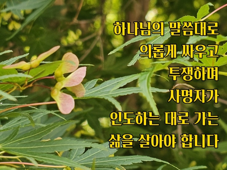  jms 정명석목사 잠언 ㅡ 하나님의 말씀대로
