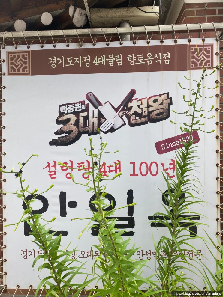  안일옥 100년 전통의 안성 맛집 - 골프클럽Q 라운딩 전 설렁탕 보신
