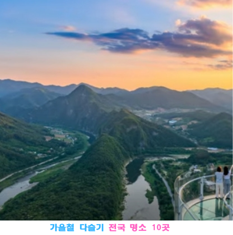 【2025년 초가을 다슬기 잡기 명소 10선】서울 근교부터 강원, 전남, 경북까지! 재미와 먹거리 ....