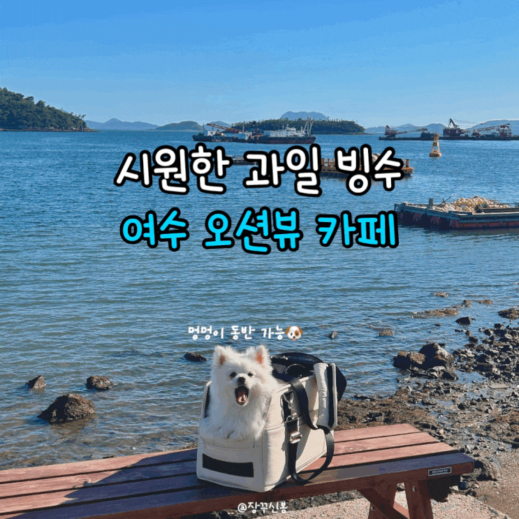  여수 시원한 과일 빙수 맛집 오션뷰 애견 동반 카페 서목