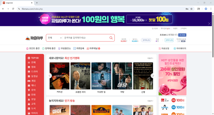  드라마 다시보기 사이트 <<파일마루>>