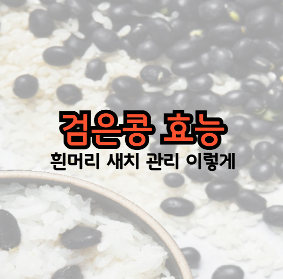 검은콩 효능 김정난 여배우 흰머리 새치 예방법