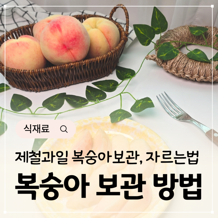  백도 복숭아 보관방법 물복숭아 자르는법