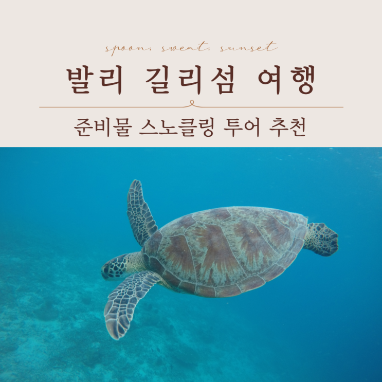  발리 여행 길리섬 스노클링 투어 준비물 추천