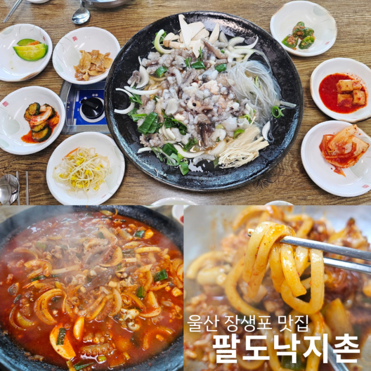  울산 장생포 맛집 팔도낙지촌 수국축제 내돈내산