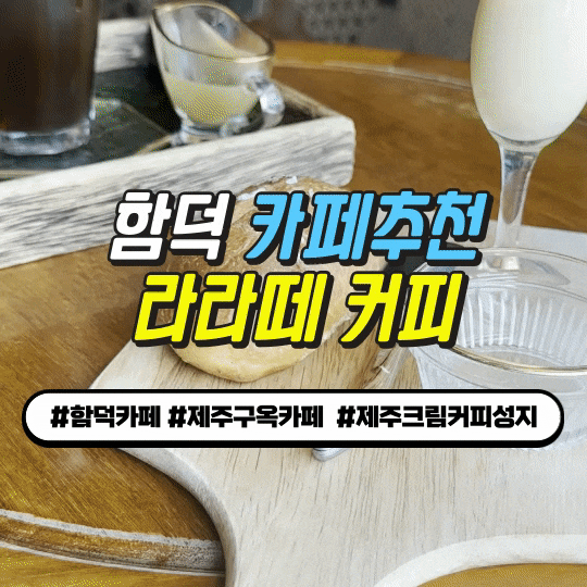  [함덕카페 추천] 라라떼 커피 – 제주 구옥 속 엔틱 감성과 반려견과 함께하는 특별한 공간