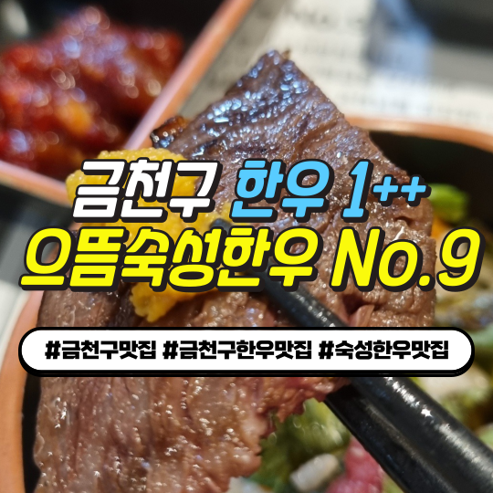  독산동 한우 으뜸숙성한우No.9 – 1++  숙성 한우 입에서 살살 스페셜 한끼 뚝딱!