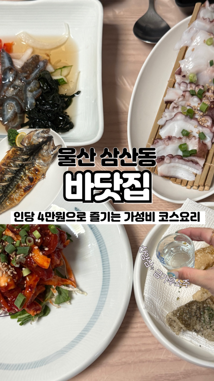  제철 해산물과 회가 코스로 나오는 울산 삼산동 가성비맛집 바닷집