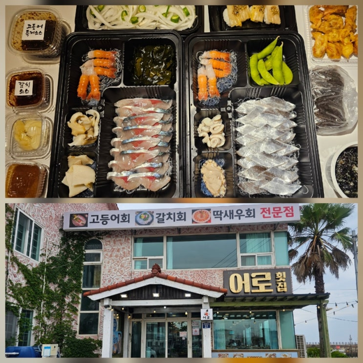  제주 표선 어로횟집 서귀포시본점 포장 후기 : 고갈딱 회포장 고등어회 갈치회 딱새우회 전문점