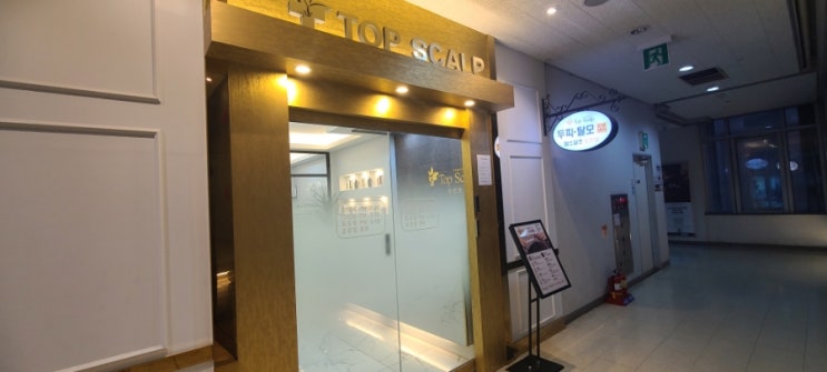  논현동 두피케어 센터 탑스칼프 논현본점 내돈내산 후기