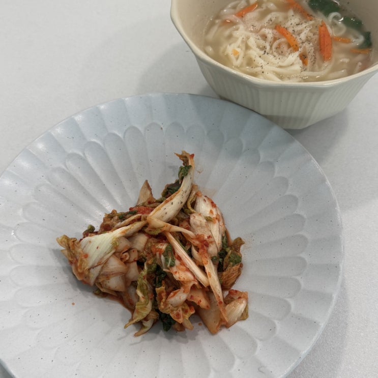  겉절이김치 더소일푸드 당일제조 택배 주문 후기