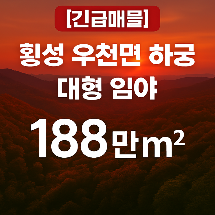  [긴급매물] 횡성 우천면 하궁리 초대형 임야 1,880,000, 공시지가 초특가 투자 찬스!