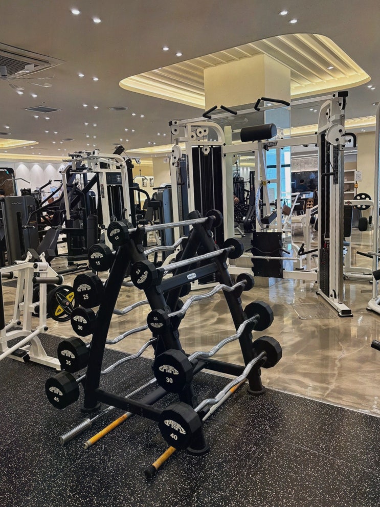  체계적인 피트니스 프로그램과 함께하는 가산헬스장, 헬스보이짐 가산역점