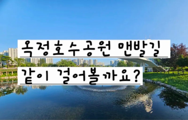 사진 5