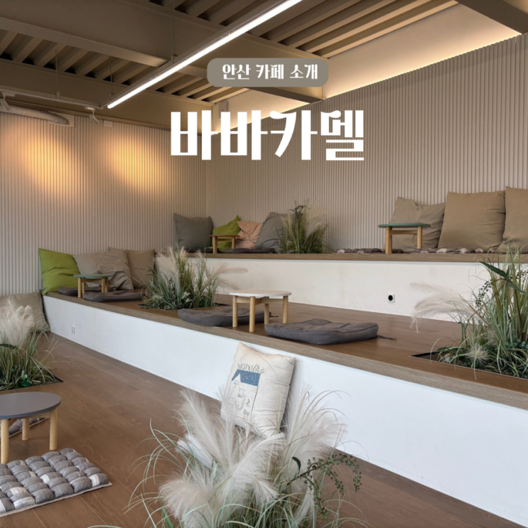  안산, G1등급 스페셜티 전문 로스터리 카페 핸드드립 커피맛집 바바카멜