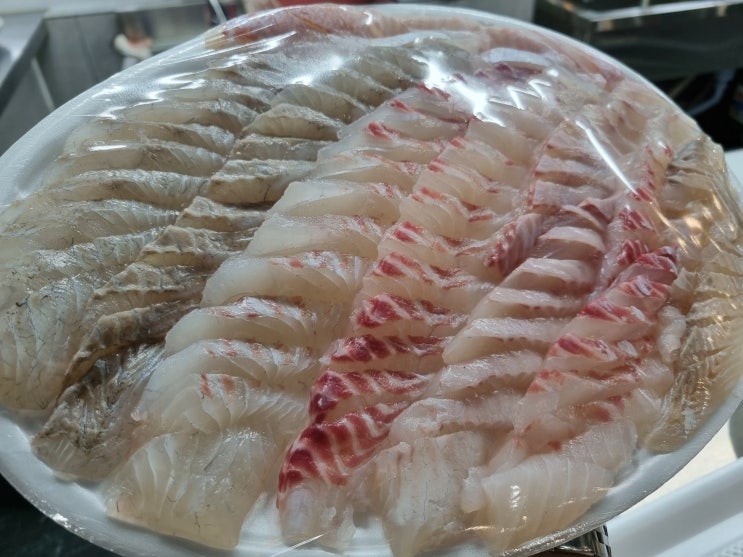  동탄실내낚시터 도깨비낚시터 참돔 농어 딱돔 다양하게 나오네요