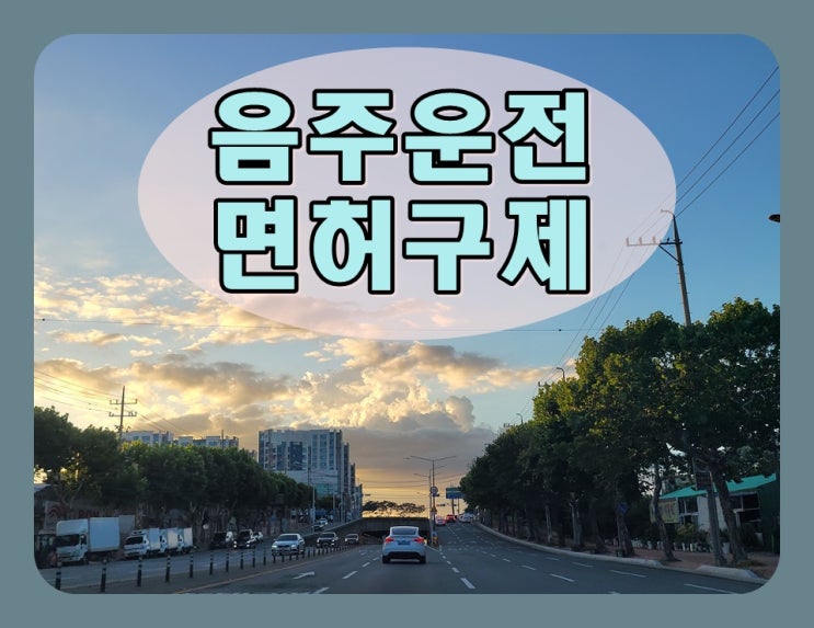  하남 음주단속 면허취소 결격기간 줄이는 방안