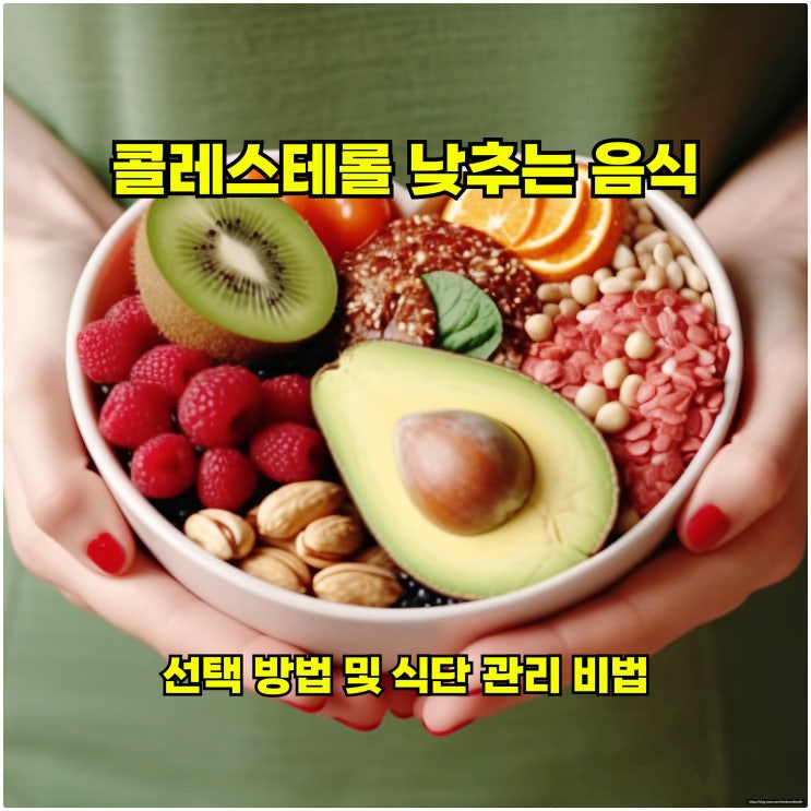  콜레스테롤 낮추는 음식 선택 방법 및 식단 관리 비법