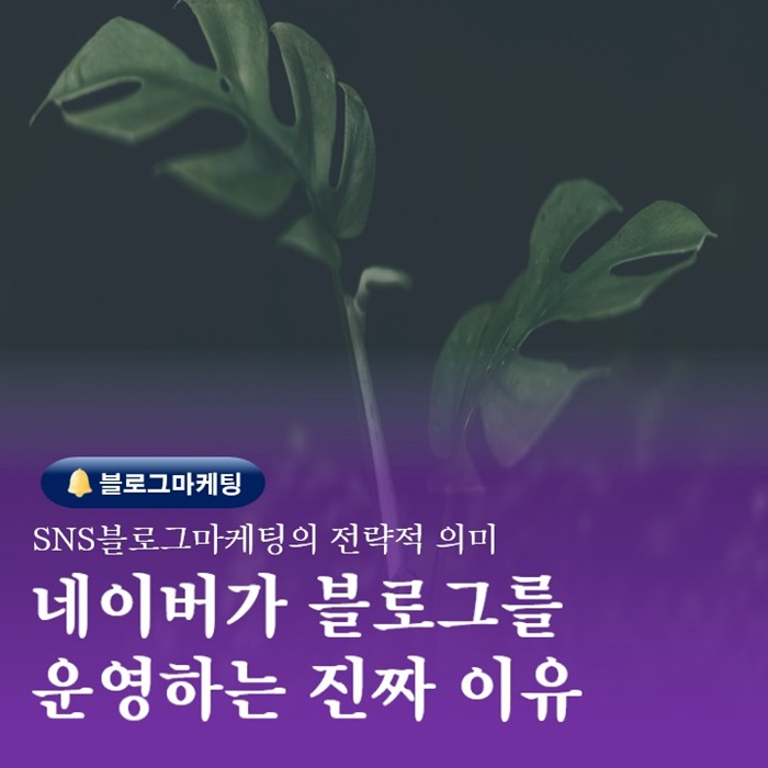  부산 검색광고마케팅교육 네이버가 블로그를 운영하는 이유는?