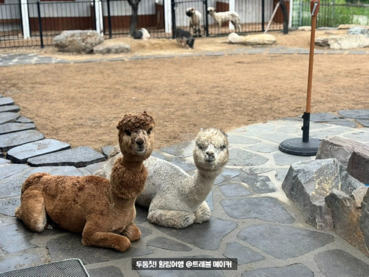  와글와글 동물원 울산 아이랑 가볼만한 곳