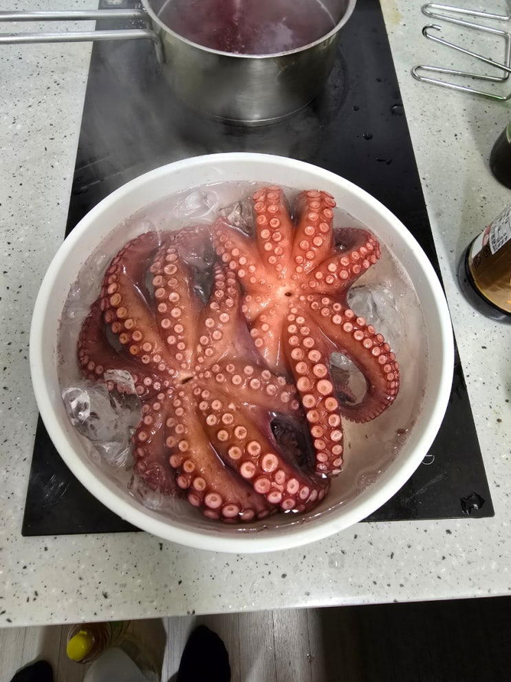  제주 이마트에서만 살수 있는 제주 생물문어로 숙회만들기