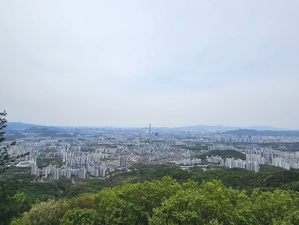 백제장 사진 3