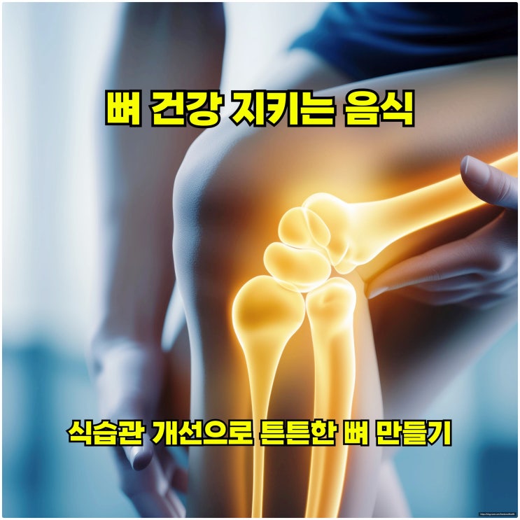  뼈 건강 지키는 음식: 식습관 개선으로 튼튼한 뼈 만들기