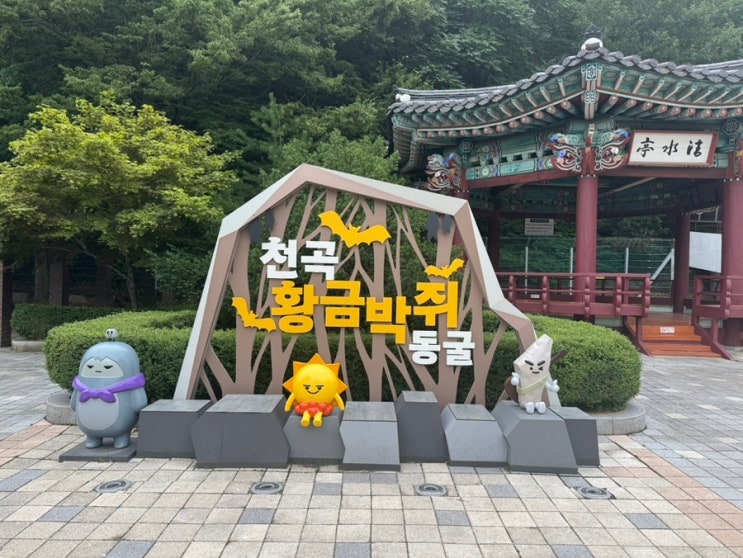  강원도 동해 가볼만한곳 천곡황금박쥐동굴 시티투어, 주차 관람 후기