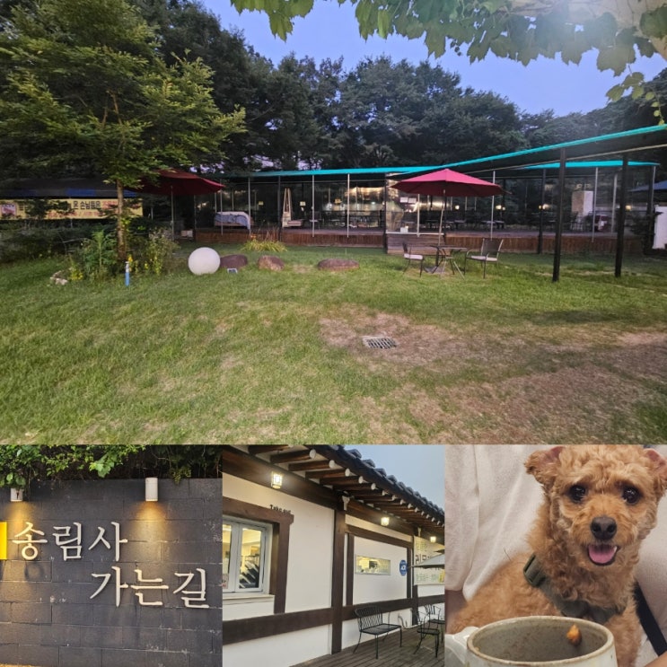  대구 팔공산 실내실외 모두 강아지동반 가능한 카페 송림사가는 길