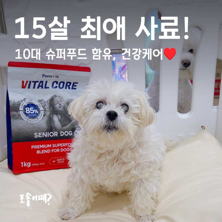  페노비스 바이탈코어 시니어 노견 맞춤 강아지 눈물사료 추천