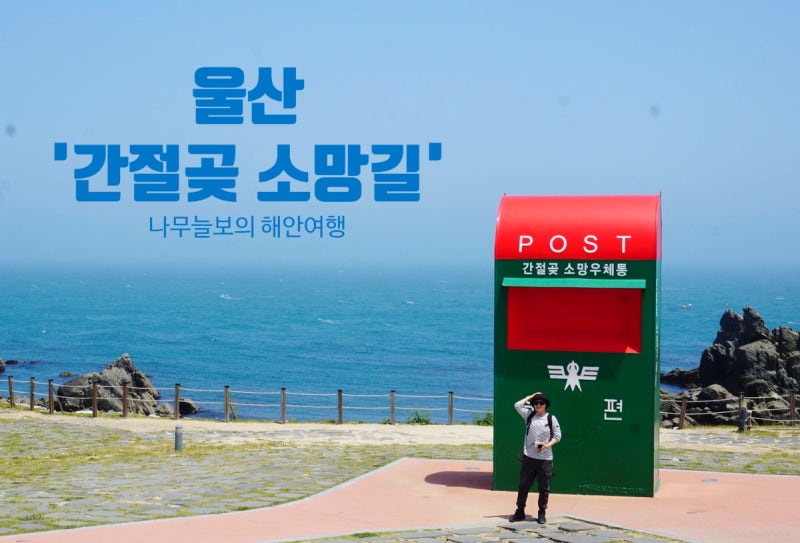 사진 4