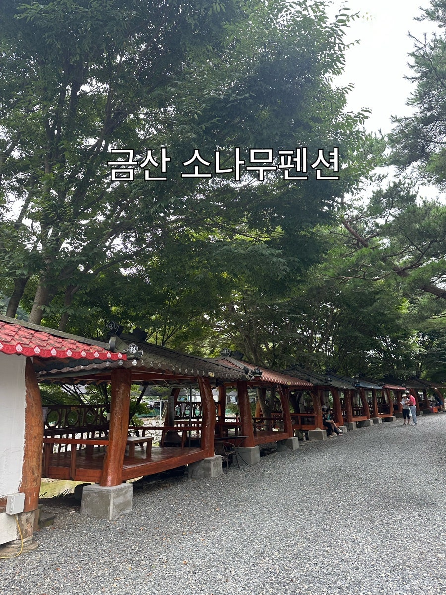 소나무펜션 사진 1