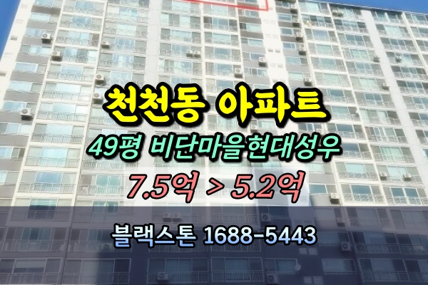  천천동아파트경매 비단마을현대성우우방 49평 [2024타경11886]