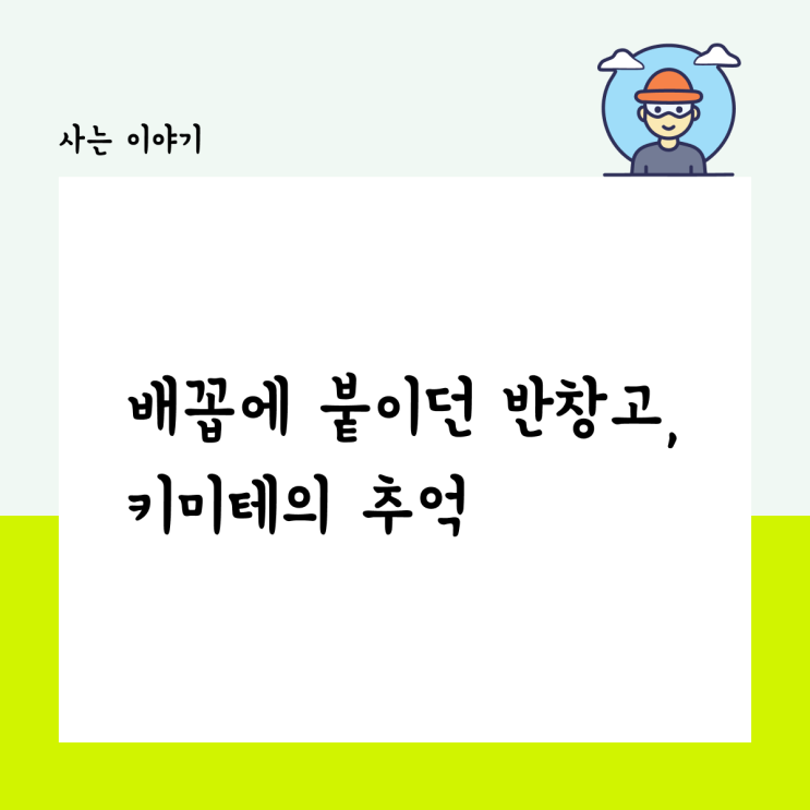  배꼽에 붙이던 반창고와 키미테의 추억