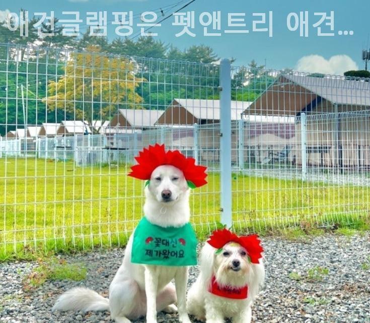 사진 4
