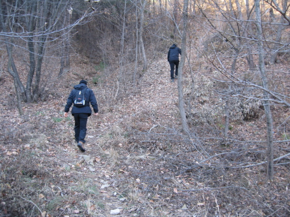 피래산 사진 5
