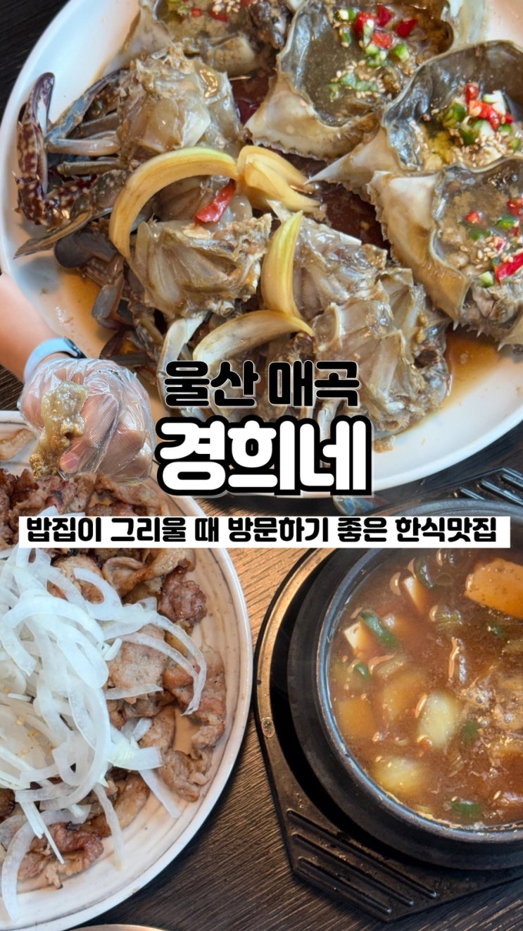  만원대로 즐기는 든든한 한 끼 저녁에는 술안주까지 울산 매곡 맛집 경희네