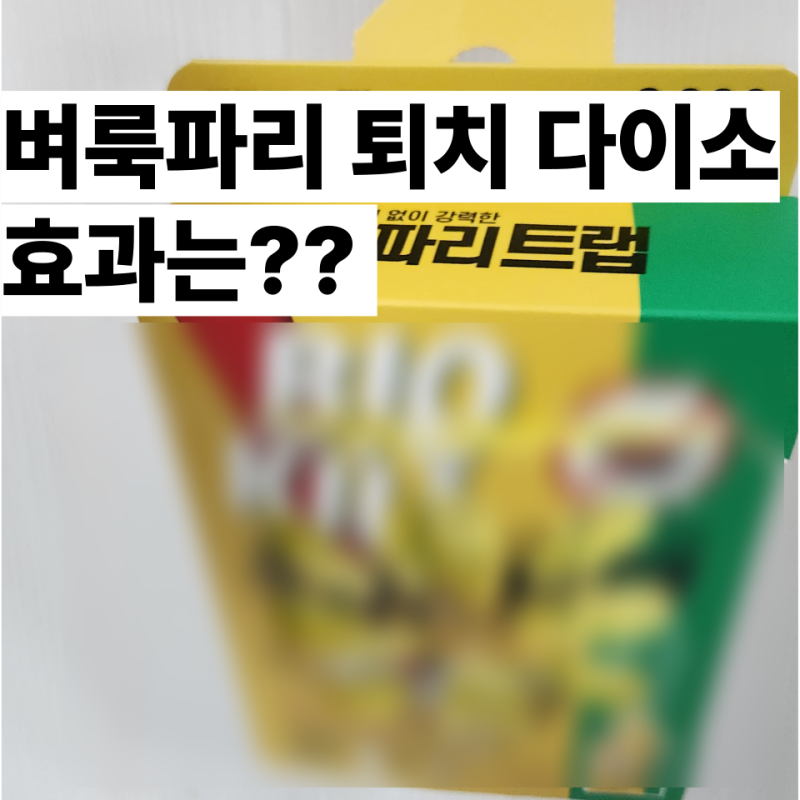 벼룩파리 퇴치 다이소 2천원 대만족 트랩